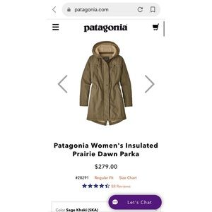 Patagonia Hooded Insulated Prairie Dawn Parka